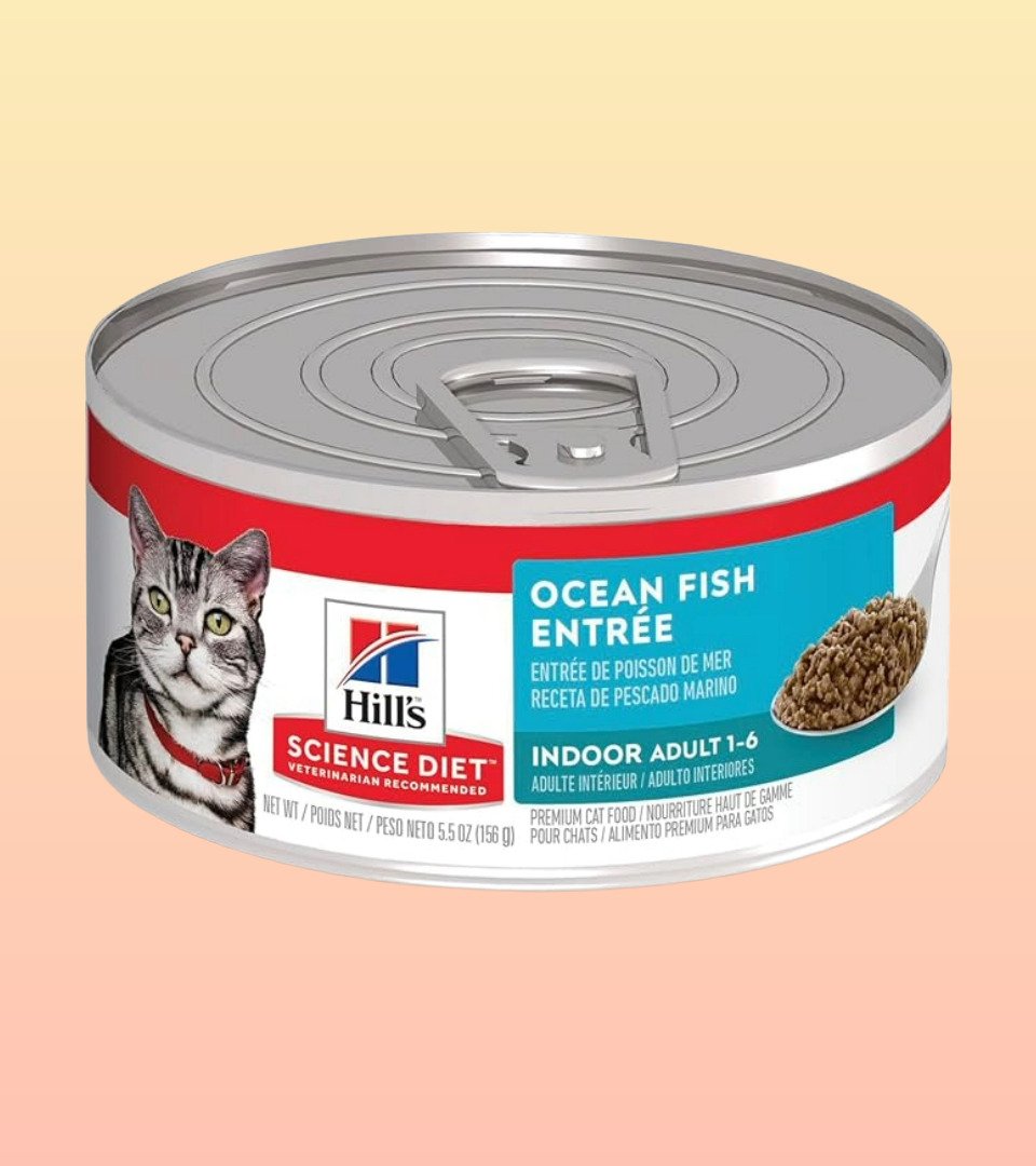 Alimento húmedo para gato Hill's Science Diet Indoor